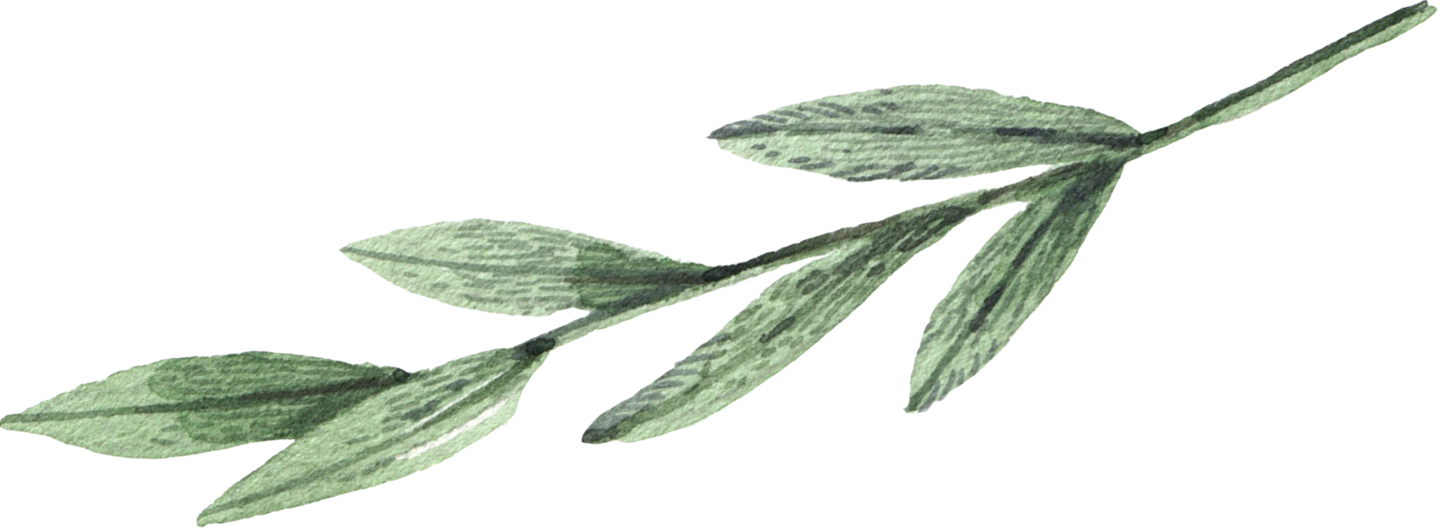 leaf-01